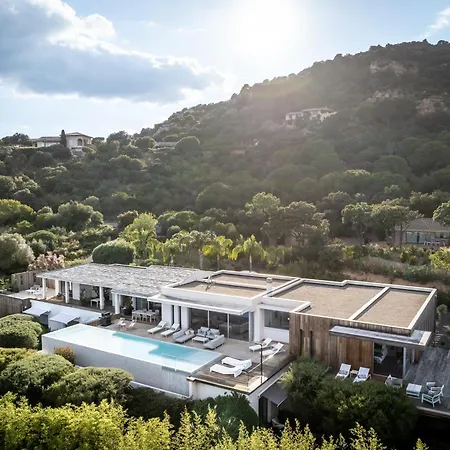 Azaitu Porto Vecchio