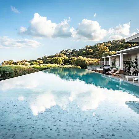 Azaitu * Porto Vecchio