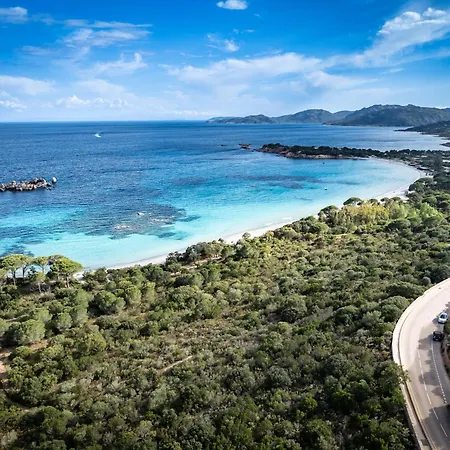 Azaitu Porto-Vecchio (Corsica)