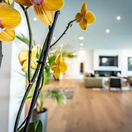 Bed and breakfast Azaitu Porto Vecchio