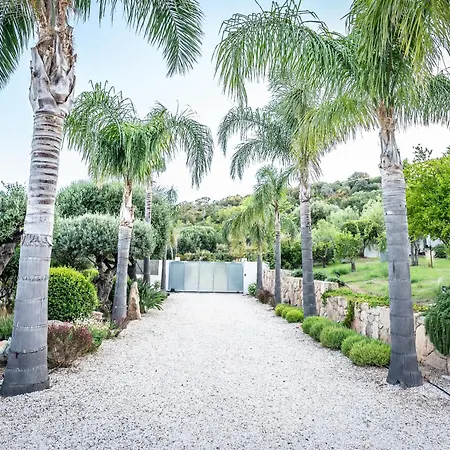 Azaitu * Porto-Vecchio (Corsica)