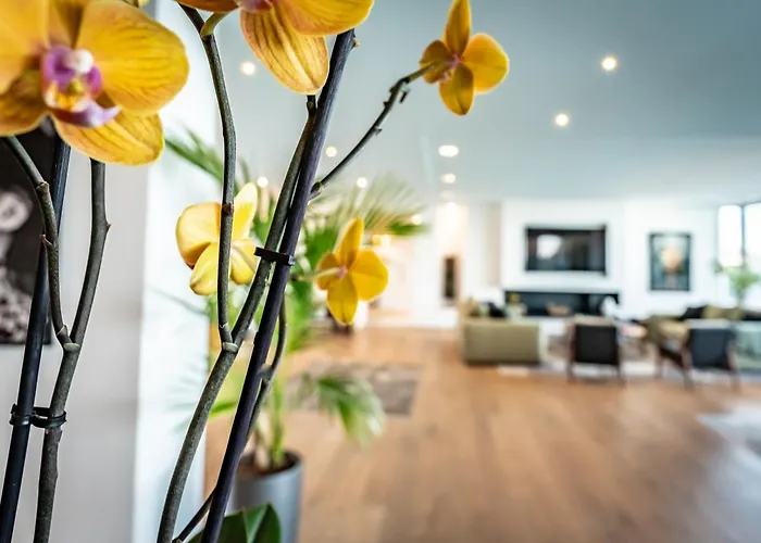 Bed & Breakfast Azaitu Porto-Vecchio (Corsica)