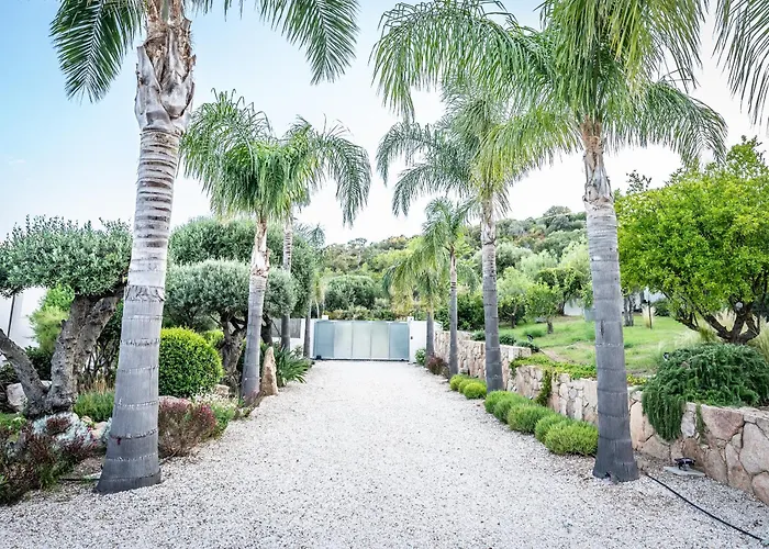 Azaitu * Porto-Vecchio (Corsica)